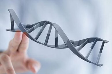 孕妇建档8项免费检查项目整理：提前准备好材料别错过