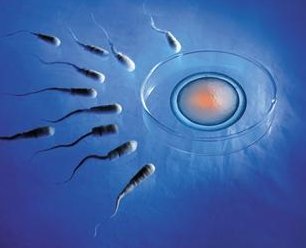 冷冻4cb囊胚移植成功秘诀：掌握6-10天着床黄金期