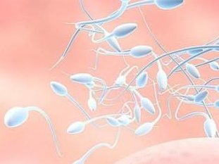 试管婴儿前必看：远离手机电脑，迎接生命奇迹！